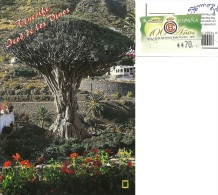 ESPAÑA  SPAGNA  TENERIFE  Icod De Los Vinos  Drago Milenario  Nice Stamp - Trees