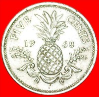 * GREAT BRITAIN (1966-1970): THE BAHAMAS 5 CENTS 1968 PINEAPPLE! ELIZABETH II (1953-2022) LOW START  NO RESERVE! - Bahama's