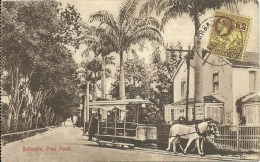 BELLEVILLE  Pine Road ¤ Superbe Attelage, L'autobus De L'époque ! ¤ Timbre N°97 - Barbados
