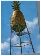 (543) USA - Honolulu Water Tower Shape As A Pineapple (brnt In Middle) - Watertorens & Windturbines