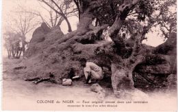COLONIE Du NIGER - Four Original Creusé Dans Une Termitière ...  - Ed. Labitte - Niger