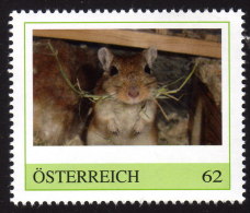 ÖSTERREICH 2014 ** Wüstenrennmaus - PM Personalized Stamps - MNH - Personalisierte Briefmarken