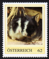 ÖSTERREICH 2013 ** Kaninchen, Hasen, Rabbits - PM Personalized Stamp MNH - Personalisierte Briefmarken