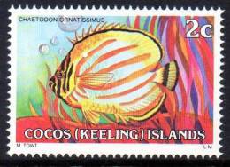 Cocos Islands 1979 Fishes 2c Ornate Butterflyfish MNH   SG 35 - Islas Cocos (Keeling)