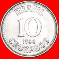 * SOUTHERN CROSS (1986-1988): BRAZIL  10 CRUZADOS 1988! LOW START NO RESERVE!!! - Brésil