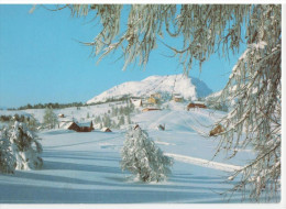 Österreich - Bad Mitterndorf - Tauplitzalm Mit Lawinenstein - Bad Mitterndorf