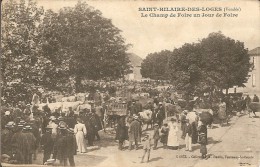 85 - SAINT  HILAIRE  DES  LOGES -  Champ De Foire Un Jour De Foire ( Super Animation , Bétail ) - Saint Hilaire Des Loges