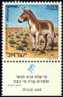 WILD LIFE-DONKEYS-WILD ASS-ISRAEL WITH TAB-MNH-SCARCE-B8-50 - Esel