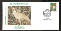 INDIA, 2014, SPECIAL COVER,  Indian Grey Mongoose, State Animal Of Chandigarh, Kansal  Cancelled - Storia Postale
