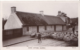 Original Real Photo - Alloway South Ayrshire Scotland - Burns' Cottage - Sheep - Animated - VG Condition - 2 Scans - Ayrshire