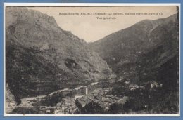 06 - ROQUEBILLIERE -- Vue Générale - Roquebilliere