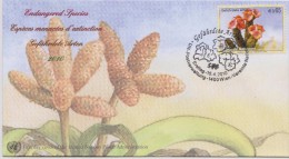 United Nations FDC Mi 640 Endangered Species - Hoodia - Suculent Plants - 2010 - FDC