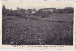 PATIGNIES : Panorama Du Village, Pris Du Chemin De La Galette - Gedinne