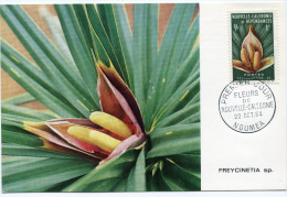 NOUVELLE-CALEDONIE CARTE- MAXIMUM DU N°314  1F FREYCINETTIA  OBLITERATION 1er JOUR NOUMEA 22 OCT. 64 - Tarjetas – Máxima