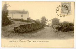 LG46 - 11  - LIERNEUX  -  Route Du Bois De Groumont  * Nels 124 N° 16* - Lierneux