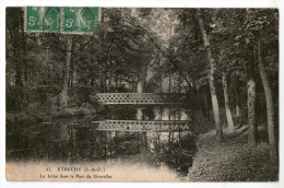 CPA     91        ETRECHY         LA JUINE DANS LE PARC DE GRAVELLES         PASSERELLE - Etrechy