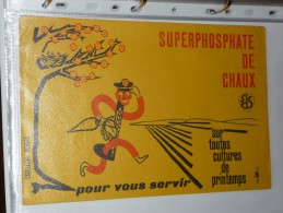 BUVARD Publicitaire  Superphosphate De Chaux - Agriculture