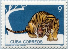 N° Yvert 776 - Timbre De Cuba (1964) - MNH - Tigre (JS) - Unused Stamps