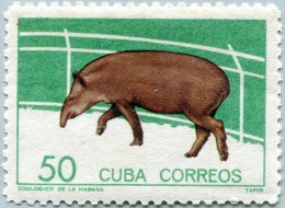 N° Yvert 780B - Timbre De Cuba (1964) - MNH - Tapir (JS) - Ongebruikt