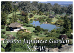 (208) Australia - NSW - Cowra Japanese Garden - Bäume