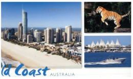 (208) Australia - QLD - Gold Coast + Tiger - Gold Coast