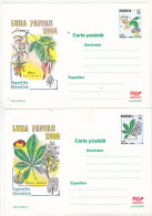 Romania 2000 Uncirculated Set Of 2 Postcards  -  Forest Month 2000 - Philatelic Exhibition - Cactus