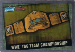Slam Attax SMACK DOWN RAW - WWE Tag Team Championship - Martial Arts