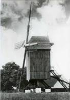 HUISE Bij Zingem (O.Vl.) - Molen/moulin - De Huisekoutermolen In 1976, Overgebracht Uit Waregem. - Zingem