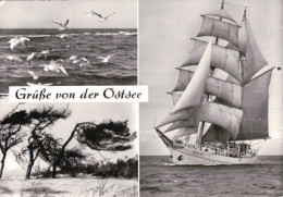 Rostock - Grüße Von Der Ostsee - Seegelschulschif Der GST Wilhelm Pieck - Rostock
