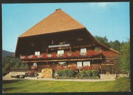 SCHLUCHSEE-AHA Breisgau Freiburg VESPERSTUBE UNTERKRUMMENHOF 1992 - Schluchsee