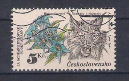 Czechoslovakia  1983   Mi Nr 2715   With Gum  (a1p4) - Big Cats (cats Of Prey)