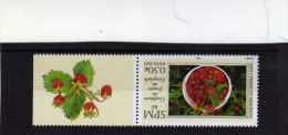 ST PIERRE ET MIQUELON    N° 807  ** LUXE - Unused Stamps