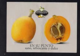 # NISPEROS GARSAN Tag Balise Etiqueta Anhänger Cartellino Fruits Frutas Frutta Früchte Neflier Nespolo Medlar - Frutas Y Legumbres