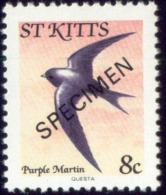 BIRDS-PURPLE MARTIN-SPECIMEN-St KITTS-MNH-SCARCE-B8-54 - Spechten En Klimvogels