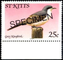 BIRDS-GREY KINGBIRD-SPECIMEN-St KITTS-MNH-SCARCE-B8-54 - Picchio & Uccelli Scalatori