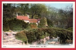 Jesmond Dene. Old MIll - Newcastle-upon-Tyne