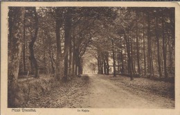 NL.- ROLDE. Mooi Drenthe. In Rolde. - Rolde