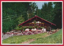 AK ´Elbach = Fischbachau Im Leitzachtal´ (LK Miesbach) ~ 1955 - Miesbach