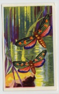 Aiglon - Papillons, Vlinders, Butterflies - 318 - Zygaeana Trifolii - Aiglon