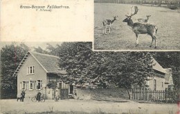 HESSE  - GROSS-GERAUER Fallthorhaus - Cpa , Voyagée En 1904 - Gross-Gerau