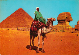 Egypte - Animaux - Chameaux - Gizeh - Giza - The Great Sphinx And Keops Pyramid - Semi Moderne Grand Format - état - Gizeh