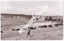 Buntenbock   (z2833) - Clausthal-Zellerfeld