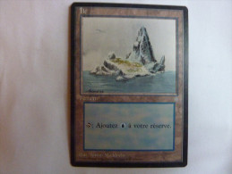 Magic The Gathering Ile Terrain - Altri & Non Classificati