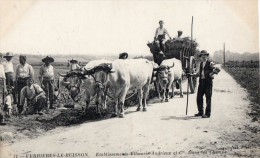 Verrières Le Buisson     91    Ets Vilmorin Andrieux   Attelage De Boeufs      (ref:049) - Verrieres Le Buisson