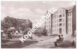 Prenzlau  1961, Am Stadtpark   (z2844) - Prenzlau