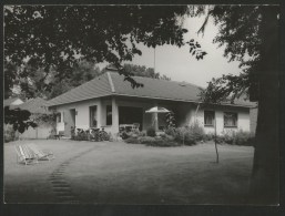 OLDENSTADT Uelzen Niedersachsen HAUS NIEWIERA Agfa-Fotokarte 10 X 13,8 Cm Ca. 1960 - Uelzen