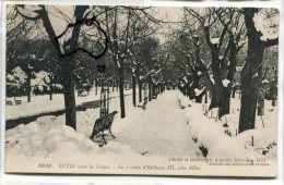 - 10 - SETIF Sous La Neige - Le Jardin D ´Orléans, Une Allée, Peu Courante, écrite En 1923, Cliché A Mandin, TBE, Scans. - Sétif