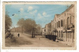 CPSM MONTCLAR DE QUERCY (Tarn Et Garonne) - Avenue De La Poste - Montclar De Quercy