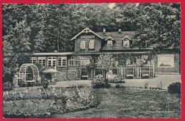 AK 'Bistensee / Hüttener Berge' (LK Rendsburg-Eckernförde) ~ 1955 - Eckernförde