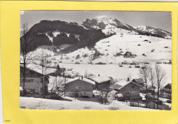 CPSM -  ZWEISIMMEN - Rinderberg - Zweisimmen